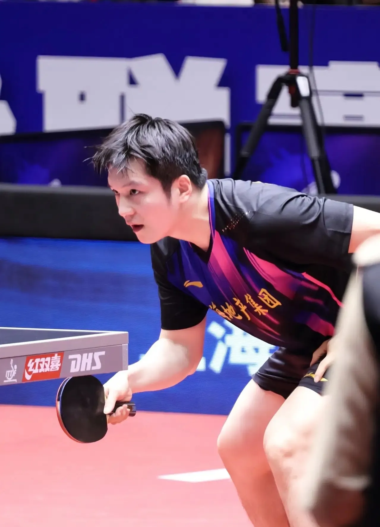 开云APP-奥地利队碾压韩国队，樊振东高光表现