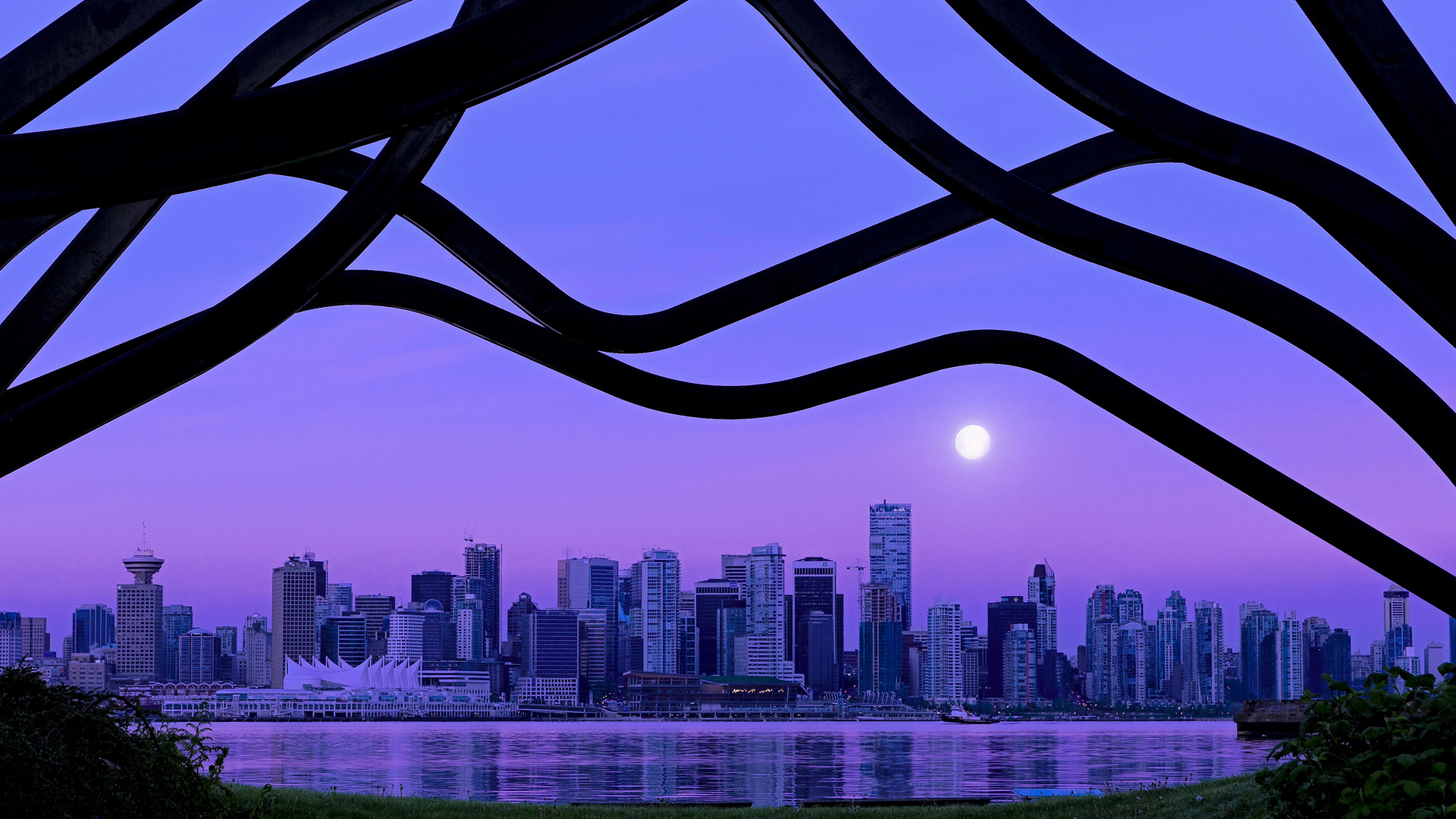 当华南虎遭遇金州风暴，字母哥如何用一场比赛重新定义篮球节律