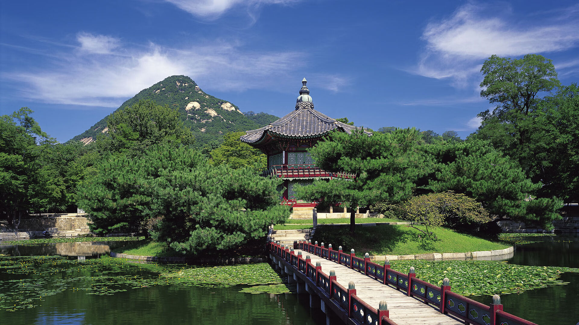 开云体育-帕尔默以一己之力接管奥运关键战，马里力克威尔士终结冠军悬念